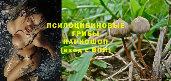 трава Белоозёрский