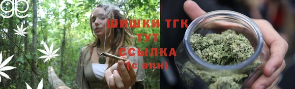 амф Богданович